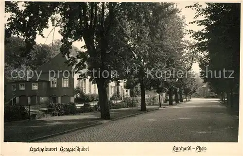 AK / Ansichtskarte Berggiesshuebel Baumallee Kneippkurort Kat. Bad Gottleuba Berggiesshuebel