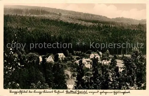 AK / Ansichtskarte Zwiesel Bad Gottleuba Berggiesshuebel Panorama Kneippkurort Kat. Bad Gottleuba Berggiesshuebel