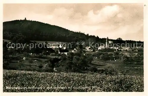 AK / Ansichtskarte Schoenberg Bad Brambach Panorama Hoehenluftkurort mit Kapellenberg Kat. Bad Brambach