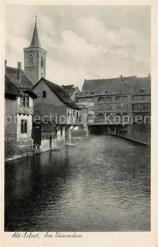 AK / Ansichtskarte Alt Erfurt Am Daemmchen