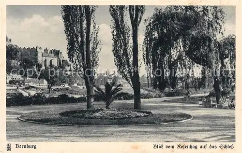 AK / Ansichtskarte Bernburg Saale Blick vom Rosenhag auf das Schloss Kupfertiefdruck Serie Aus deutschen Landen Kat. Bernburg