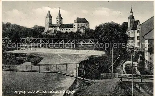 AK / Ansichtskarte Rochlitz Sachsen Mulde Wehr Blick auf Schloss Kat. Rochlitz