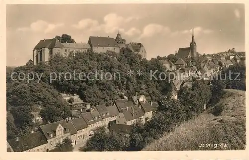AK / Ansichtskarte Leisnig Stadtbild mit Schloss Kat. Leisnig