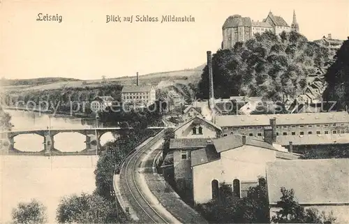 AK / Ansichtskarte Leisnig Blick auf Schloss Mildenstein Kat. Leisnig