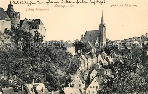 AK / Ansichtskarte Leisnig Stadtbild mit Schloss Mildenstein Kirche Schlossberg Kat. Leisnig