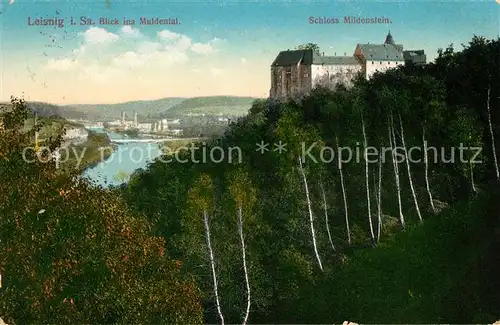 AK / Ansichtskarte Leisnig Schloss Mildenstein Kat. Leisnig