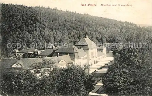 AK / Ansichtskarte Bad Elster Albertbad und Brunnenberg Kat. Bad Elster