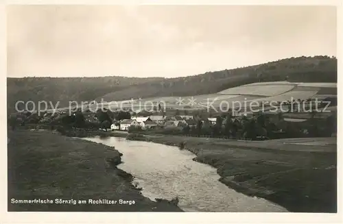 AK / Ansichtskarte Soernzig Seelitz Sommerfrische Rochlitzer Berge