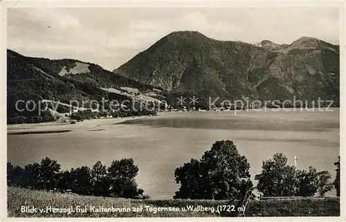AK / Ansichtskarte Tegernsee Blick vom Gut Kaltenbrunn mit Wallberg Kat. Tegernsee