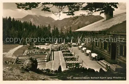 AK / Ansichtskarte Rottach Egern Alpwnwildpark gegen Hirschberg Kat. Rottach Egern