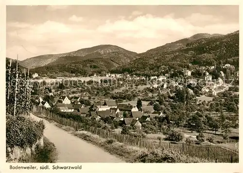 AK / Ansichtskarte Badenweiler Panorama Kat. Badenweiler