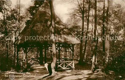 AK / Ansichtskarte Frankenberg Sachsen Am Strohtempel Luetzelhoehe Trinks Postkarte Kat. Frankenberg Sachsen