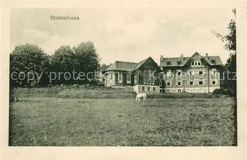 AK / Ansichtskarte Schmiedefeld Rennsteig Berghotel Stutenhaus am Adlersberg Kat. Schmiedefeld Rennsteig