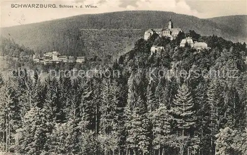 AK / Ansichtskarte Schwarzburg Thueringer Wald Schloss von der Wiese gesehen Kat. Schwarzburg