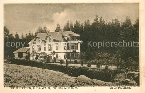 AK / Ansichtskarte Finsterbergen Villa Ingeborg Kat. Finsterbergen Thueringer Wald
