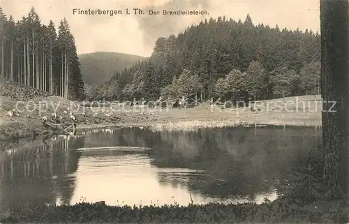 AK / Ansichtskarte Finsterbergen Brandleiteteich Kat. Finsterbergen Thueringer Wald