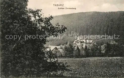 AK / Ansichtskarte Tabarz Schloss Zimmerberg Kat. Tabarz Thueringer Wald