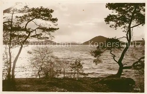 AK / Ansichtskarte Hirschberg Thammuehl Uferpartie am See