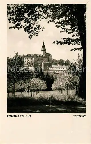 AK / Ansichtskarte Friedland Boehmen Schloss Baumbluete Kat. Frydlant