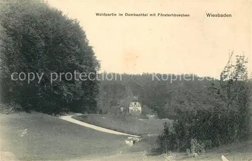 AK / Ansichtskarte Wiesbaden Waldpartie im Dambachtal mit Foersterhaeuschen Kat. Wiesbaden