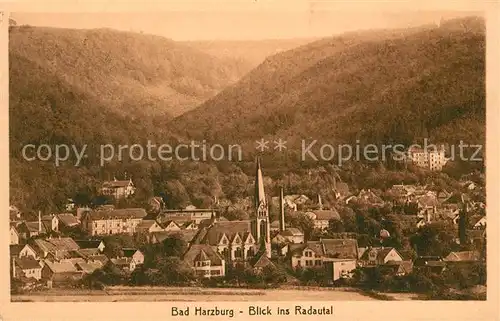 AK / Ansichtskarte Bad Harzburg Blick ins Radautal Kat. Bad Harzburg