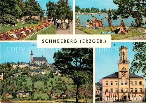 AK / Ansichtskarte Schneeberg Erzgebirge Filzteich Kirche Rathaus Kat. Schneeberg