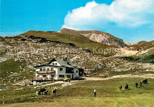 AK / Ansichtskarte San Vigilio di Marebbe Rifugio Sennes Col di Ricegon Senneshuette 