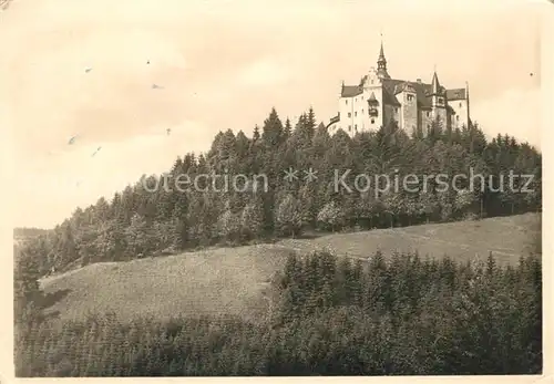 AK / Ansichtskarte Lauenstein Oberfranken Burg Lauenstein Grenzwarte Kat. Ludwigsstadt