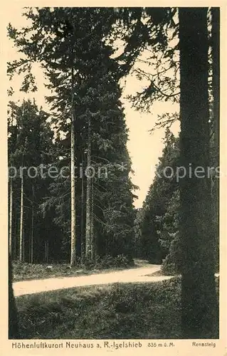 AK / Ansichtskarte Igelshieb Waldpartie Kat. Neuhaus Rennweg
