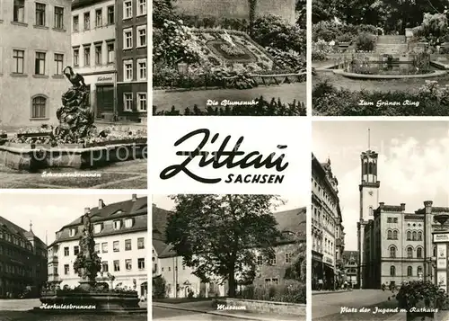 AK / Ansichtskarte Zittau Schwanenbrunnen Herkulesbrunnen Gruener Ring Blumenuhr Kat. Zittau