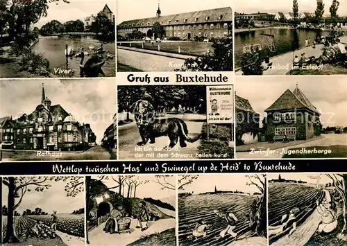 AK / Ansichtskarte Buxtehude Viver Freibad Estetal Rathaus Jugendherberge Zwinger  Kat. Buxtehude