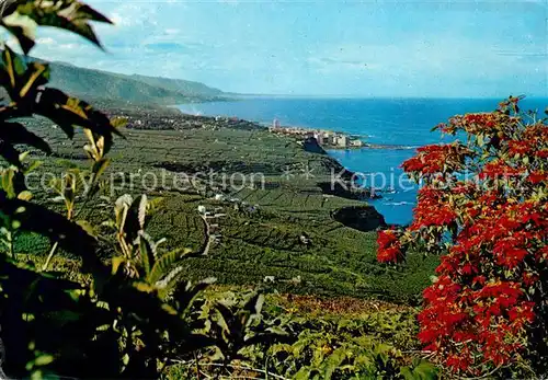 AK / Ansichtskarte Tenerife Teilansicht des Orotavaltales Kat. Islas Canarias Spanien