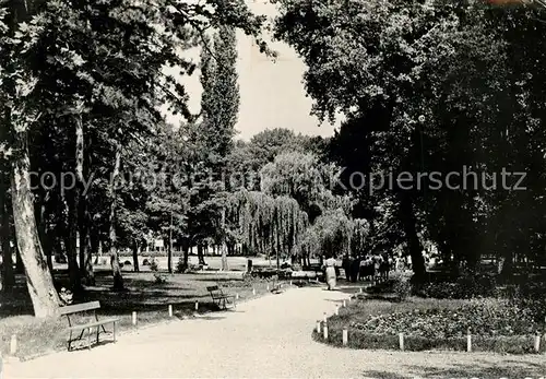 AK / Ansichtskarte Siofok Park Kat. Siofok