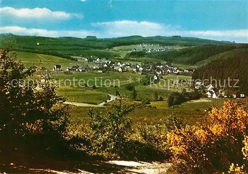 AK / Ansichtskarte Dickendorf Panorama Kat. Dickendorf