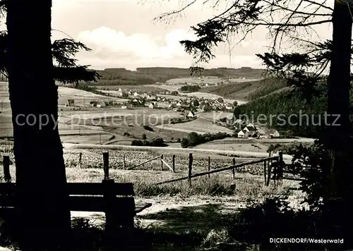 AK / Ansichtskarte Dickendorf Panorama Kat. Dickendorf