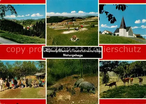 AK / Ansichtskarte Siedelsbrunn Naturgehege Panorama Minigolf Kirche Kat. Wald Michelbach