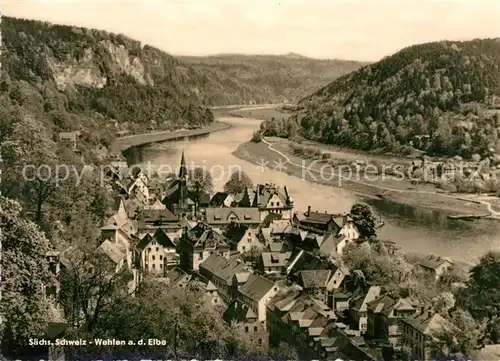 AK / Ansichtskarte Wehlen Sachsen Panorama Kat. Wehlen