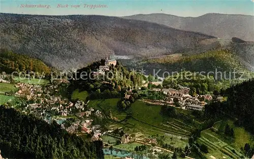 AK / Ansichtskarte Schwarzburg Thueringer Wald Panorama Blick vom Trippstein Kat. Schwarzburg