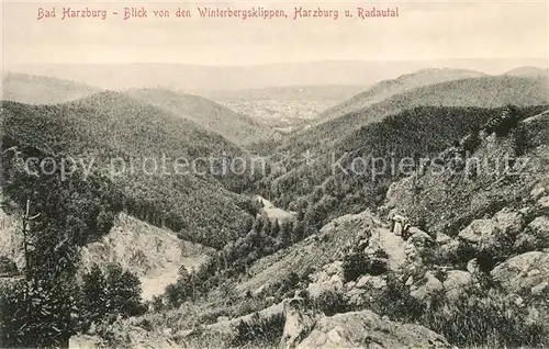 AK / Ansichtskarte Bad Harzburg Blick von Winterbergsklippe Harzburg und Radautal Kat. Bad Harzburg