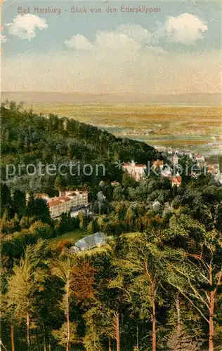 AK / Ansichtskarte Bad Harzburg Blick von Ettersklippen Kat. Bad Harzburg