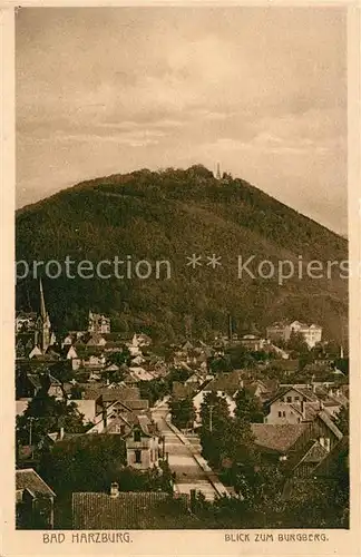 AK / Ansichtskarte Bad Harzburg Blick vom Burgberg Kat. Bad Harzburg