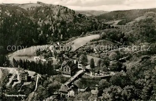 AK / Ansichtskarte Treseburg Harz Panorama Kat. Treseburg