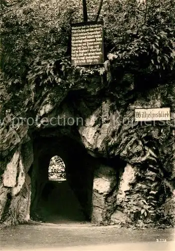 AK / Ansichtskarte Treseburg Harz Wilhelmsblick Kat. Treseburg