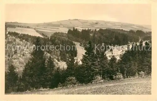 AK / Ansichtskarte Arnsfeld Panorama Jugendherberge Kurt Loeser Kat. Mildenau