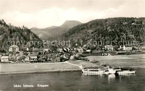 AK / Ansichtskarte Krippen Bad Schandau Elbepartie Kat. Bad Schandau