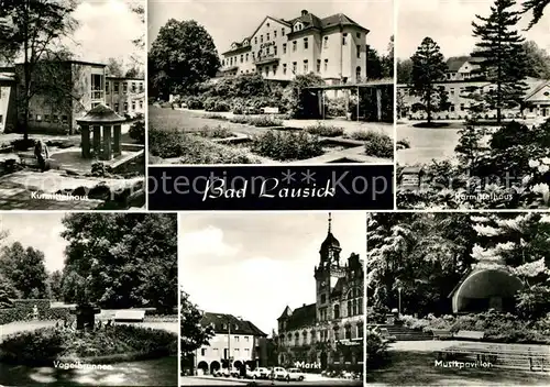 AK / Ansichtskarte Bad Lausick Kurmittelhaus Vogelbrunnen Markt Musikpavillon Kat. Bad Lausick