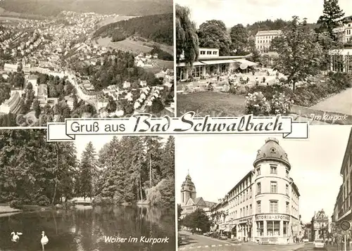 AK / Ansichtskarte Bad Schwalbach Weiher Kurpark Panorama Viktoria Apotheke Kat. Bad Schwalbach