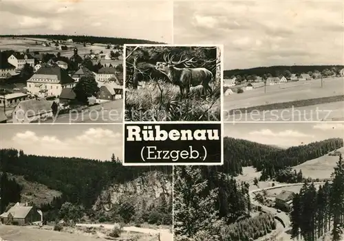 AK / Ansichtskarte Ruebenau Panorama Kat. Marienberg