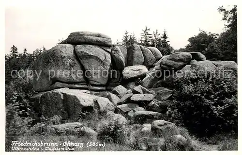 AK / Ansichtskarte Friedrichsbrunn Harz Viktoriahoehe Teufelsmuehle Kat. Friedrichsbrunn