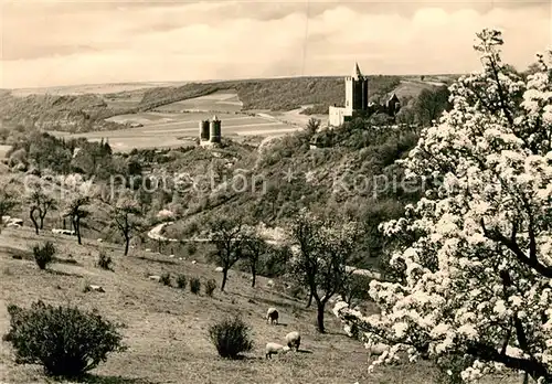 AK / Ansichtskarte Rudelsburg mit Burg Saaleck Kat. Bad Koesen